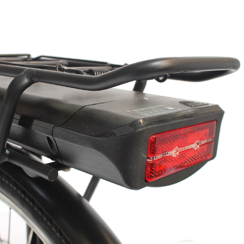 Elektrische damesfiets Advanced Sport, 50 cm, Saxxx, 7 sp, zilver 2/7