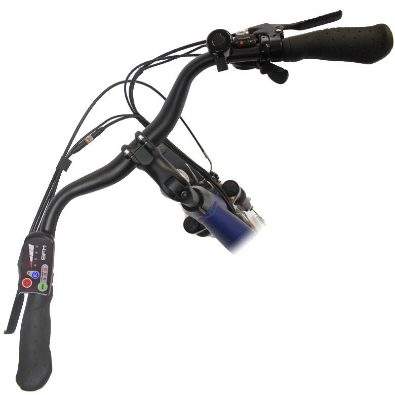Elektrische damesfiets Advanced Sport, 50 cm, Saxxx, 7 sp, zilver 4/7