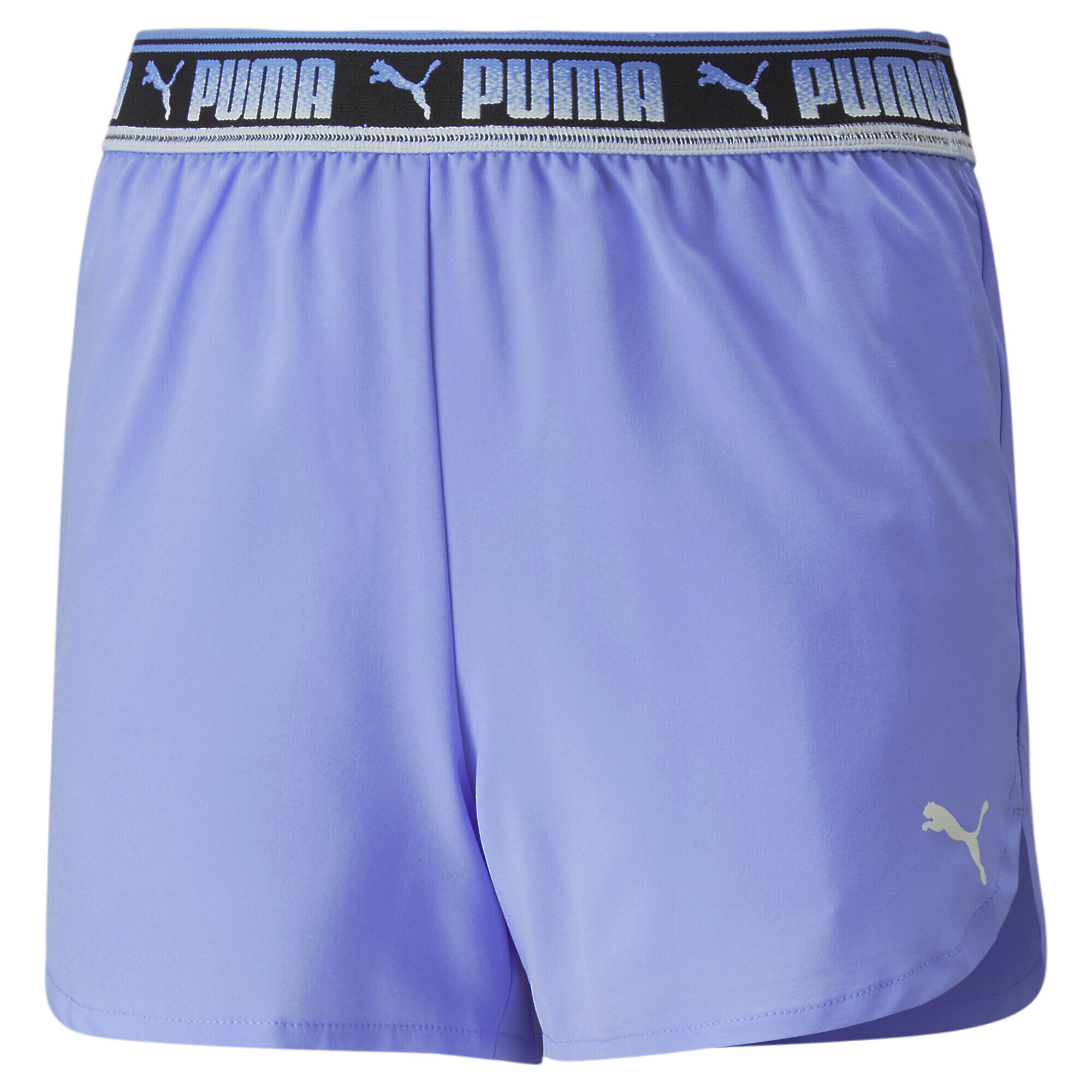 PUMA picture