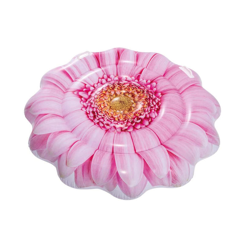 Intex Pink Daisy fllower