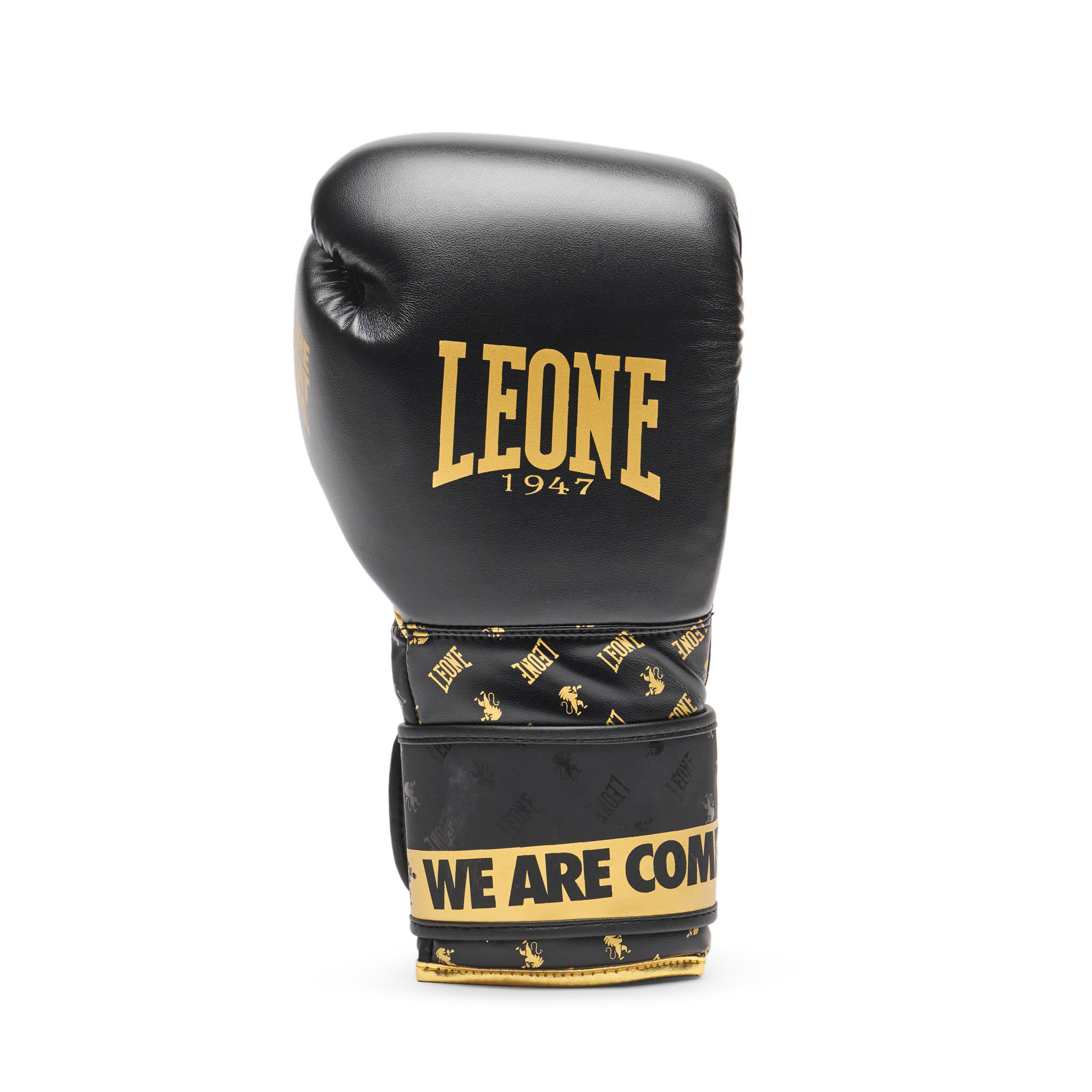 Gants de boxe DNA black 2/8