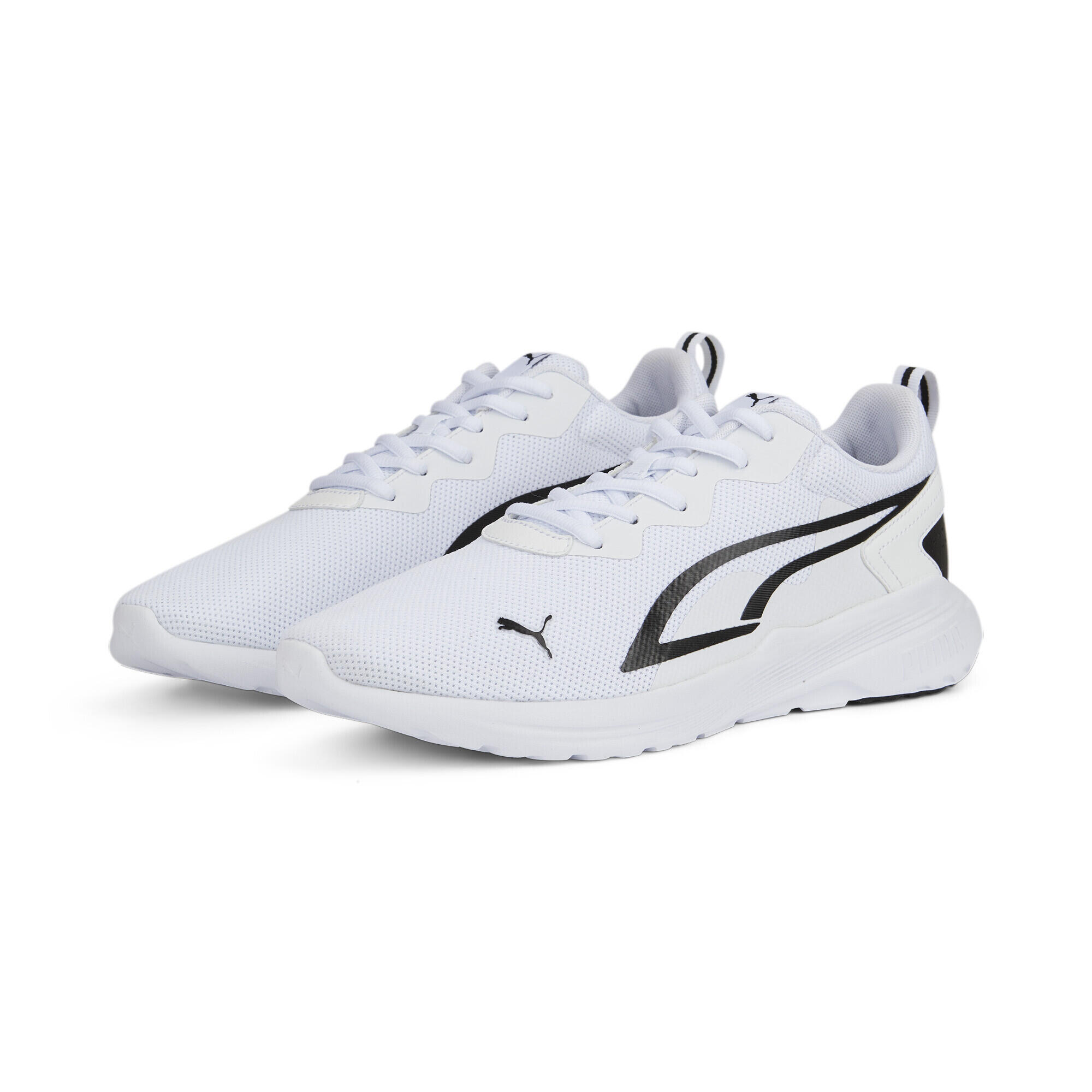 PUMA picture