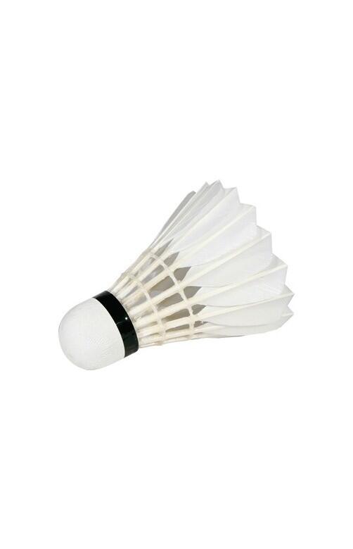 Volants de badminton VICTOR Champion No 1 2/4