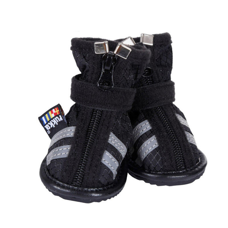 Pet Accessories