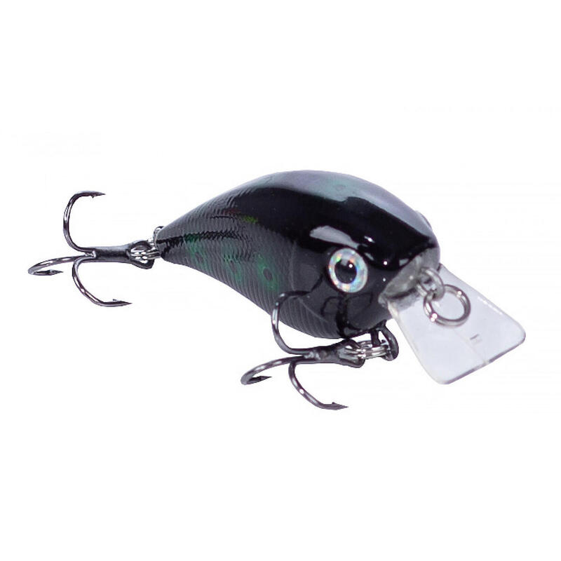 Wobbler Set 5 Crankbait Kunstköder Angeln 6,5g 5,5cm in Box