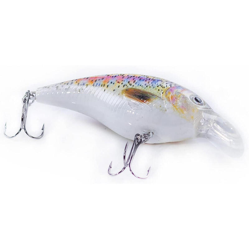 Crankbait Wobbler Angelköder Set Natur-Designs 8,9cm 5 Stück in Box