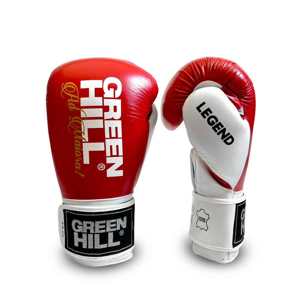 GREEN HILL Boxhandschuhe Legend Silver edition