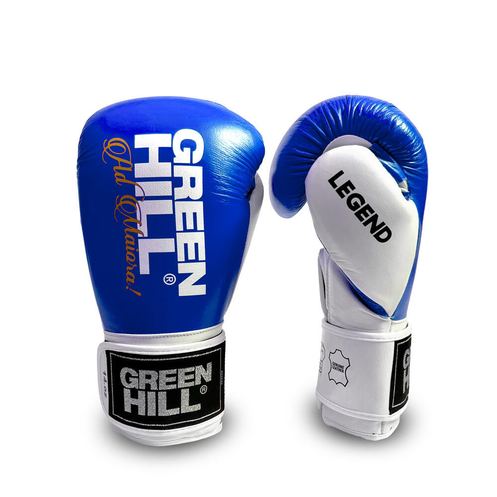 GREEN HILL Boxhandschuhe Legend Silver Edition
