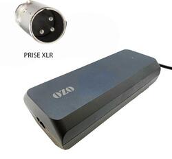 Chargeur 36V 4A pour batterie Lithium de vélo électrique prise XLR
