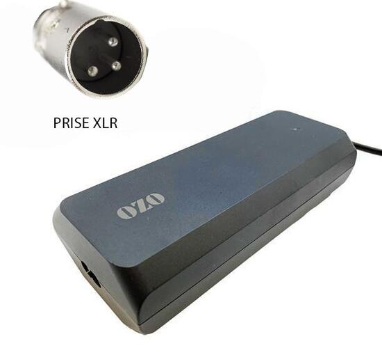 Chargeur 36V 4A pour batterie Lithium de vélo électrique prise XLR