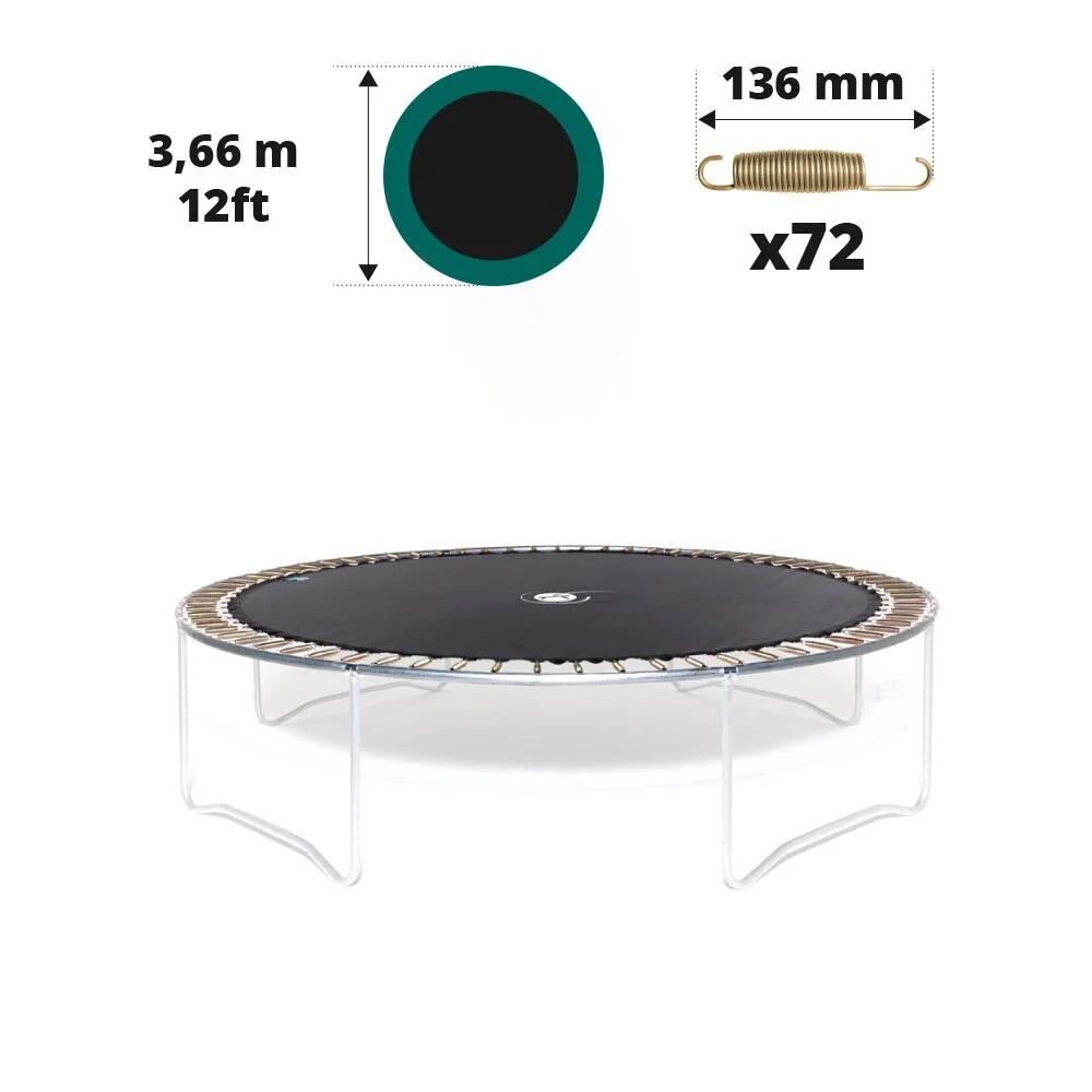 FRANCE TRAMPOLINE picture
