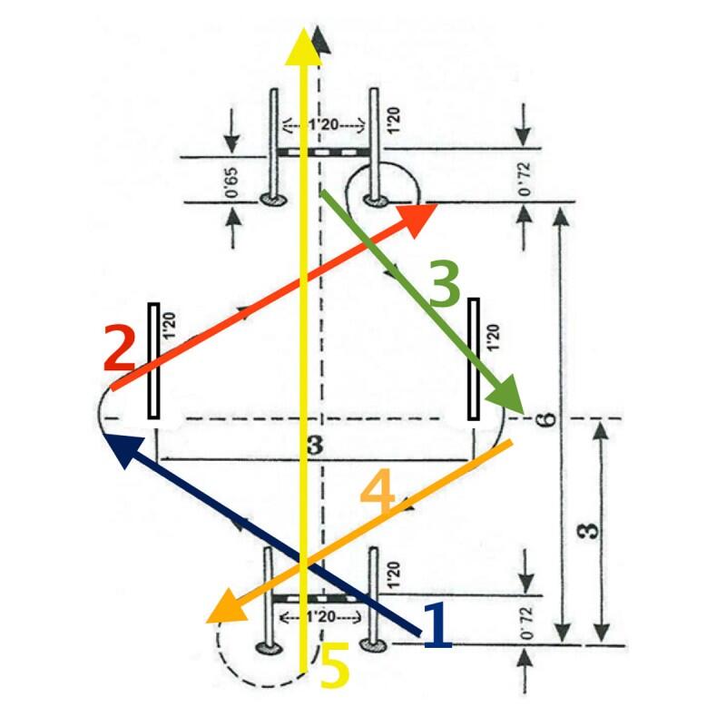 Set Entrenamiento Agilidad y Velocidad Zastor Fast-5