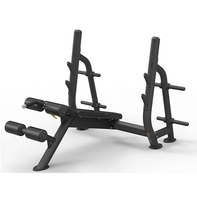 Panca pesi olimpica (declinata) - Evolve Fitness PR-211 Bench