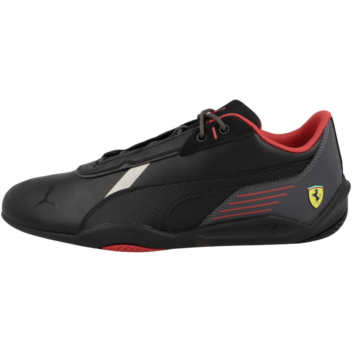 PUMA picture
