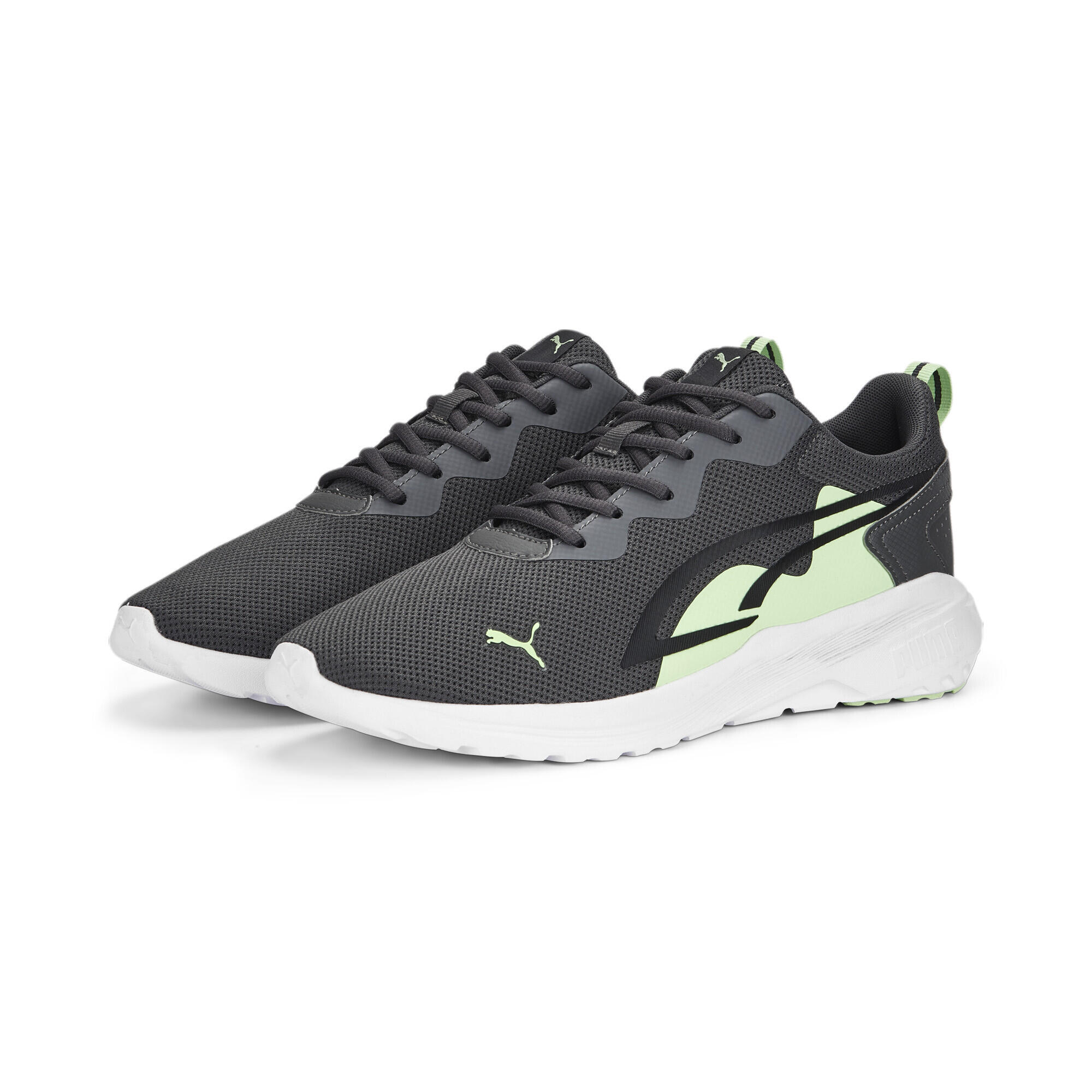 PUMA picture
