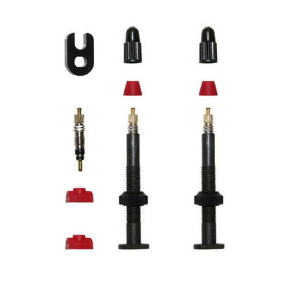 Coppia di valvole per pneumatici tubeless P2R Presta