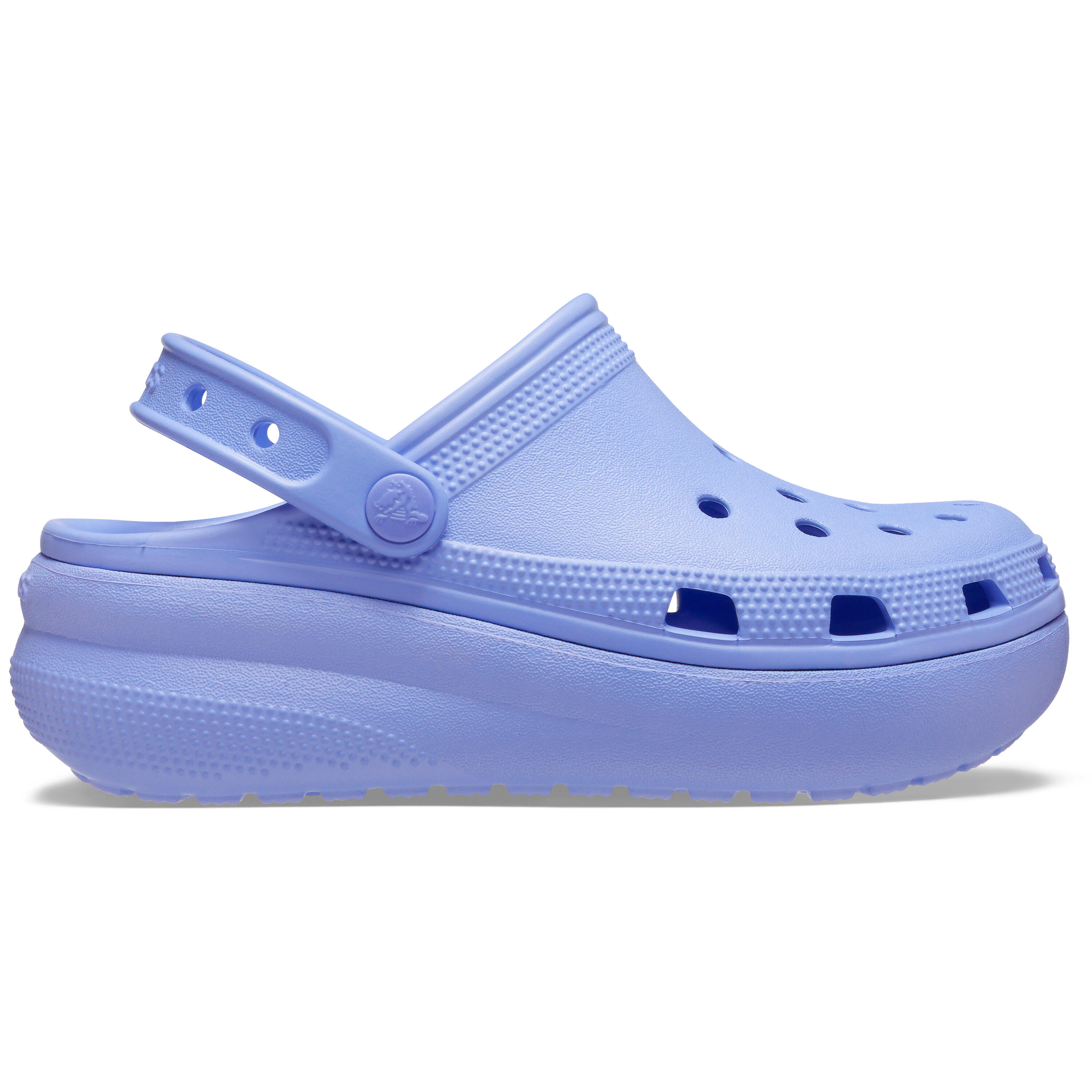 CROCS picture