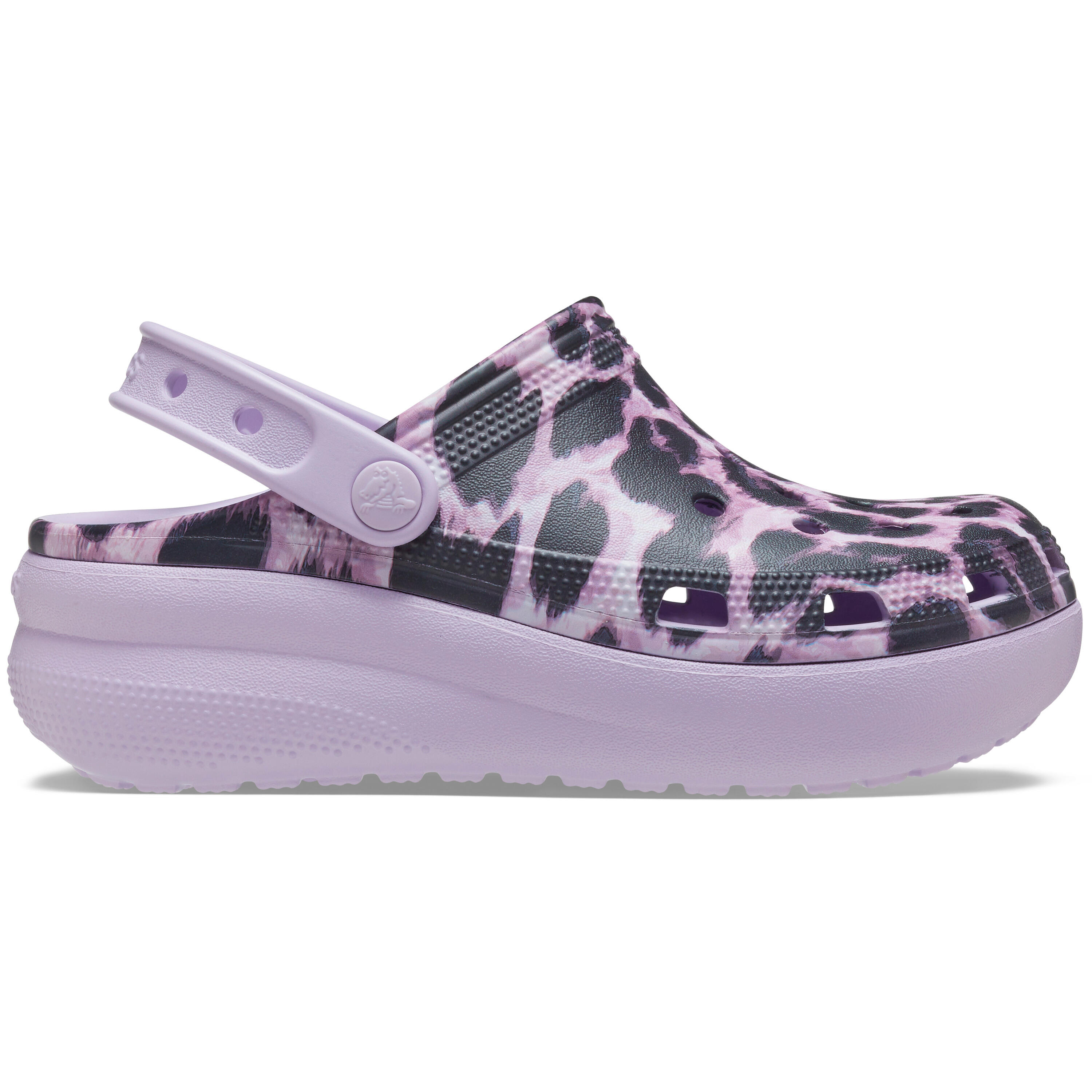 CROCS picture