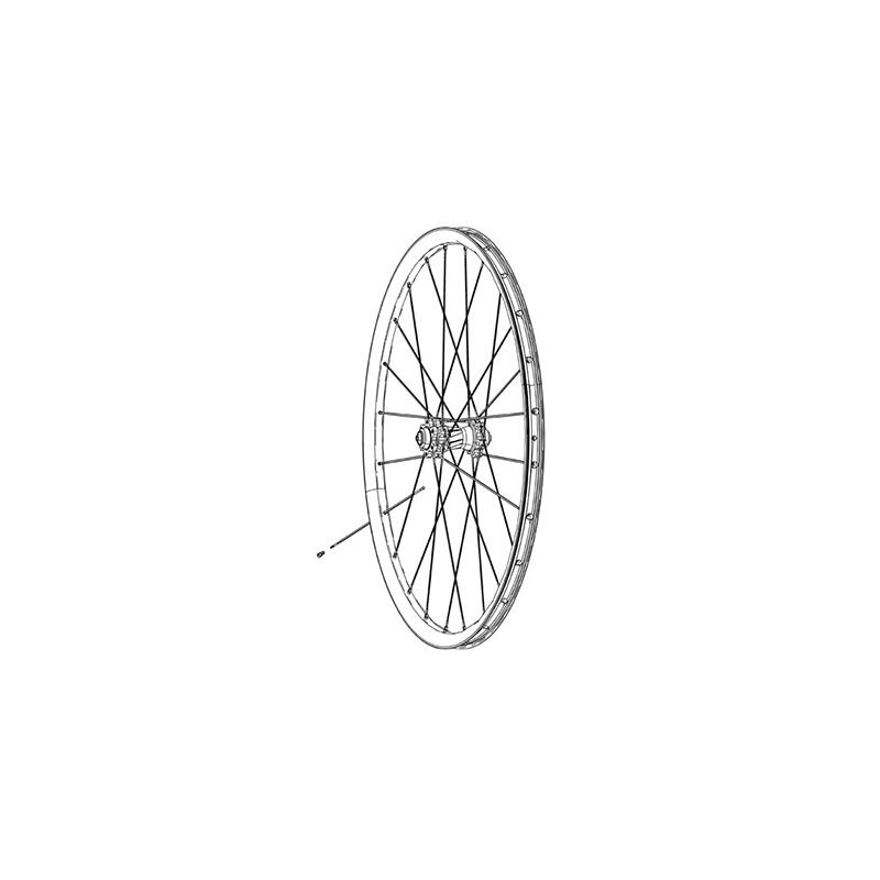 ZIPP picture