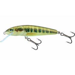Leurre flottant Salmo Minnow 6g