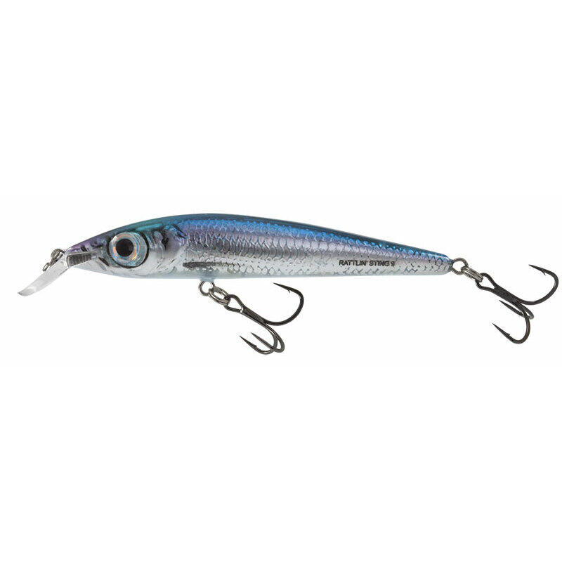 SALMO picture