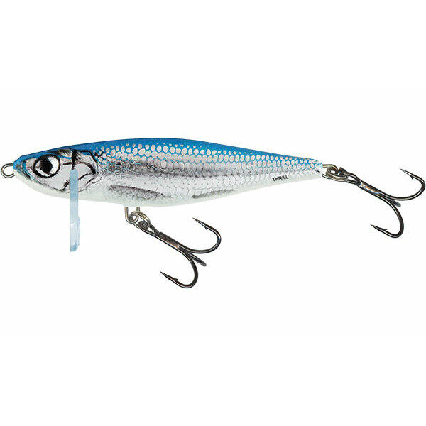 SALMO picture