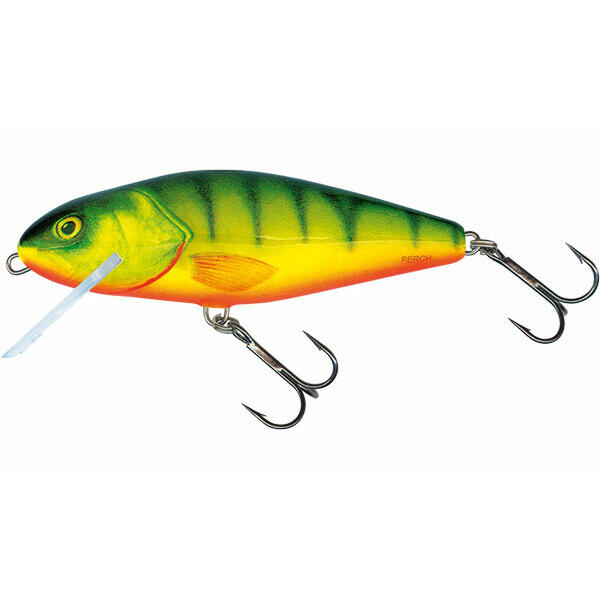 SALMO picture