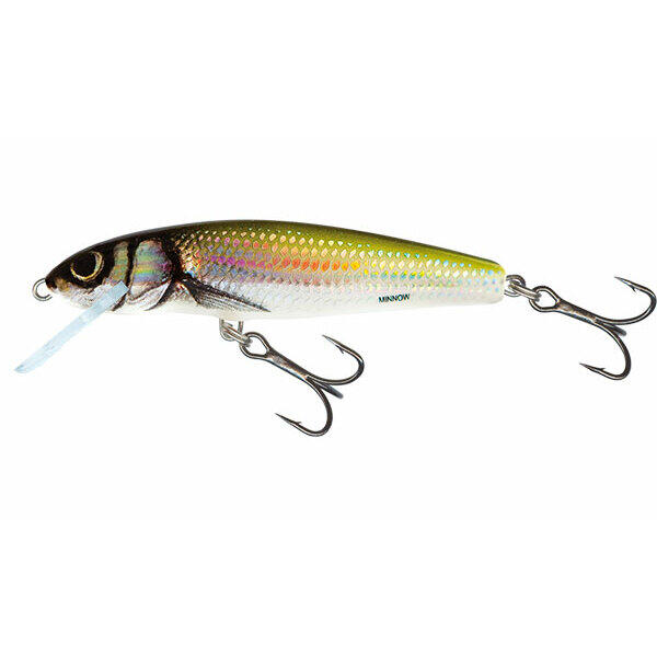 SALMO picture