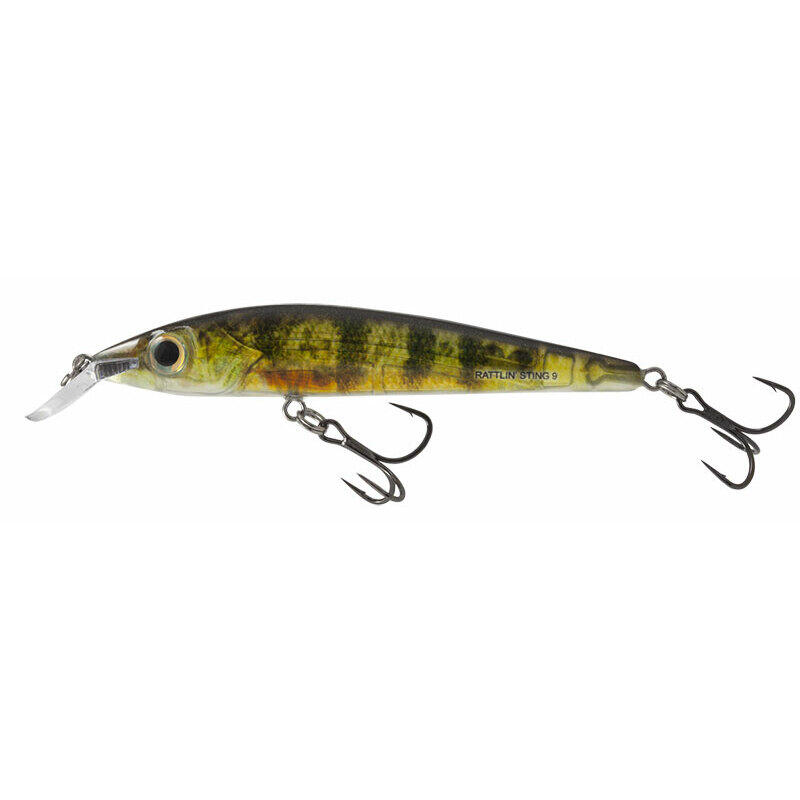 SALMO picture