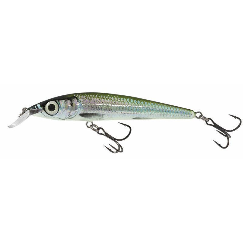 SALMO picture