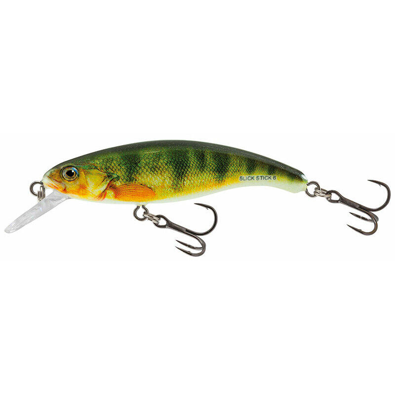SALMO picture