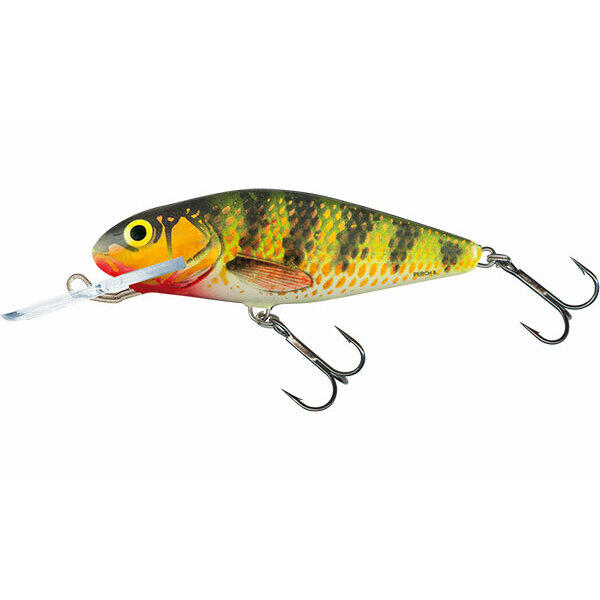 SALMO picture