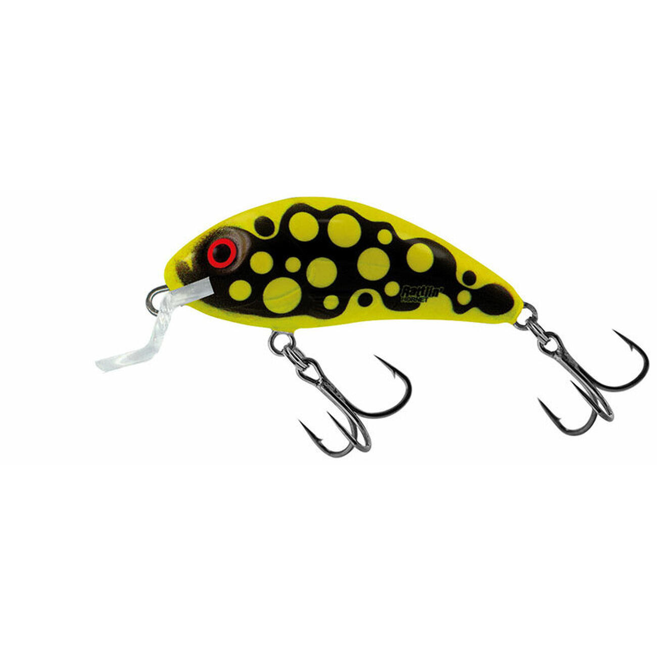 SALMO picture