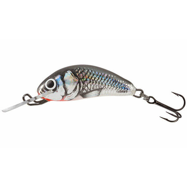SALMO picture