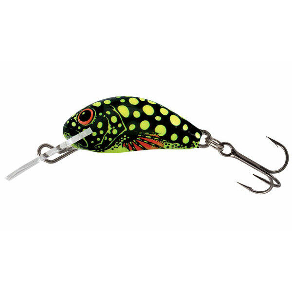 SALMO picture