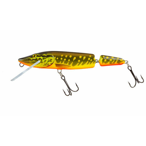 SALMO picture