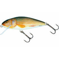 Leurre Perch Salmo FLO 36g