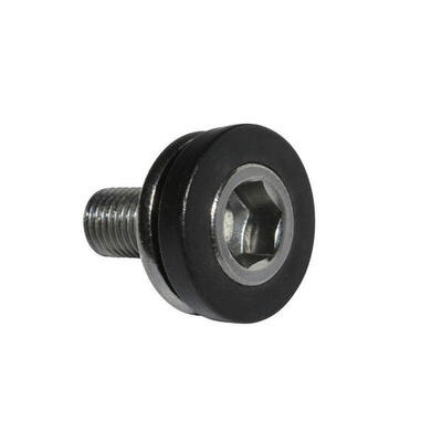 Bottom bracket schroeven p2r m8x15