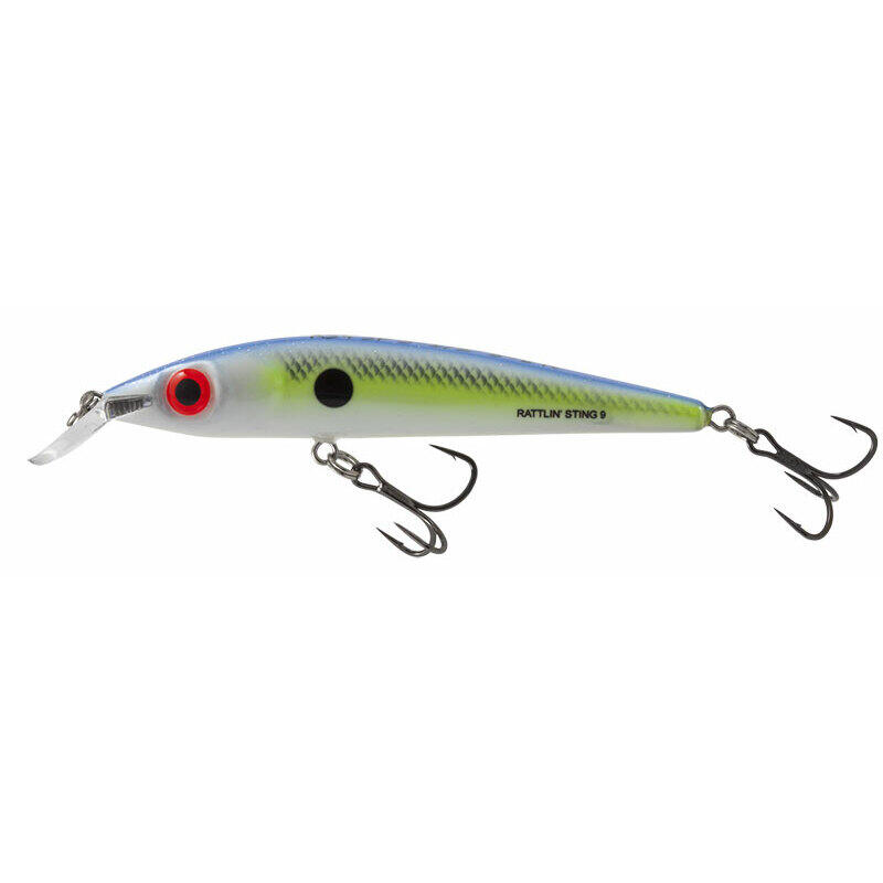 SALMO picture