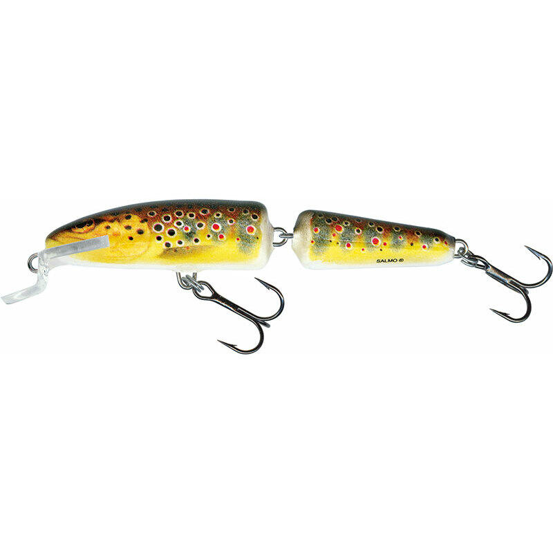 SALMO picture