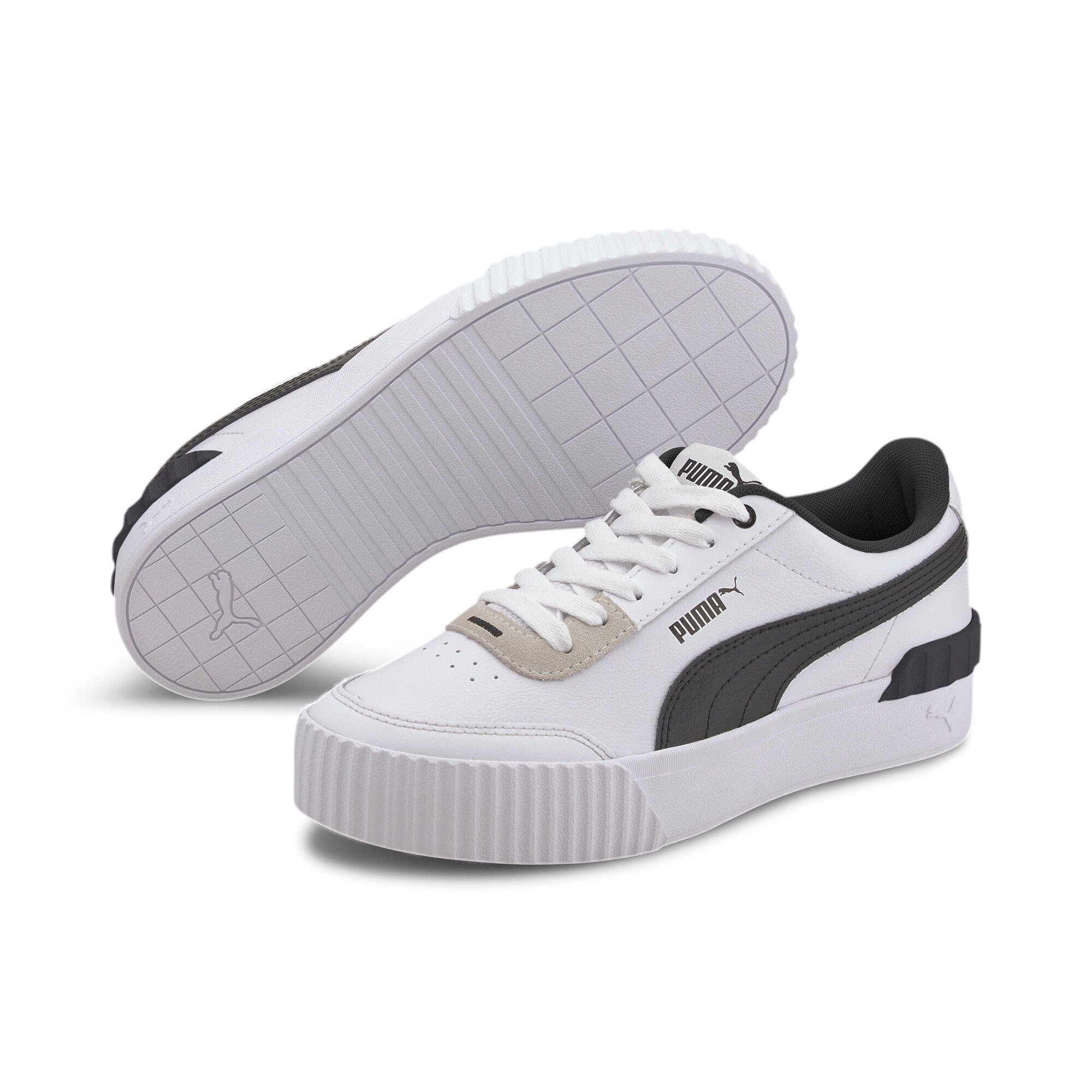 PUMA picture