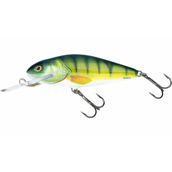 SALMO picture