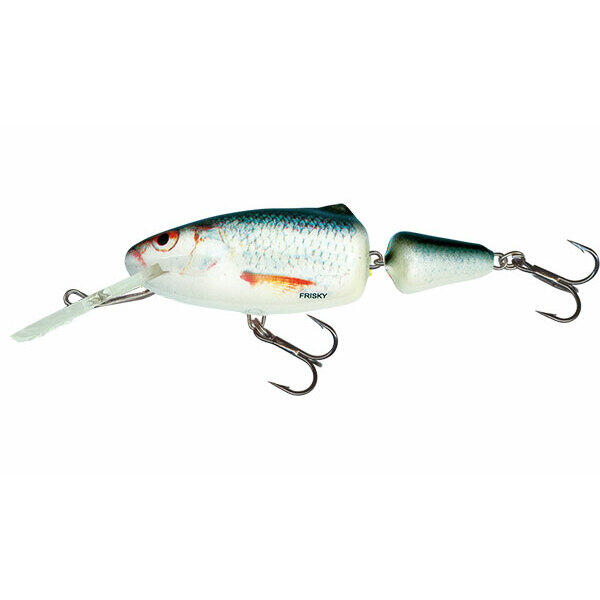 SALMO picture