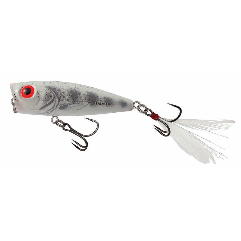 SALMO picture