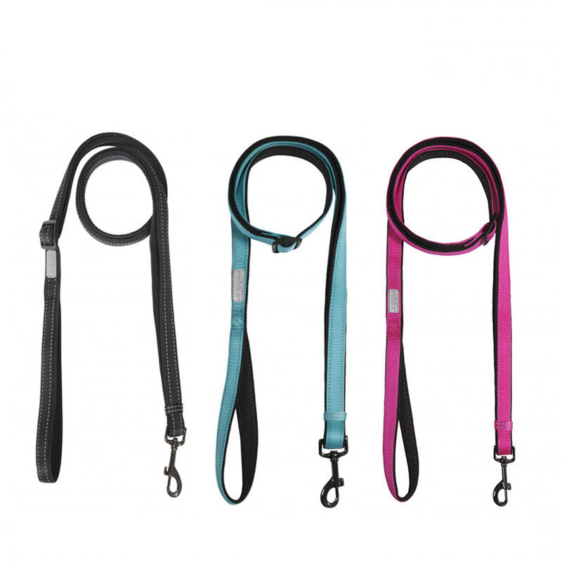 Solid Dog Leash - Fuchsia