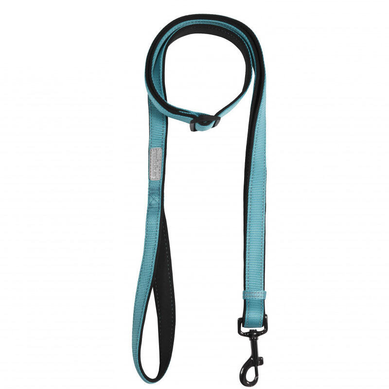 Solid Dog Leash - Turquoise