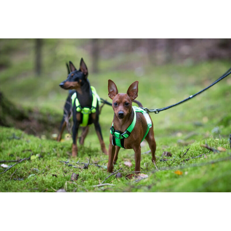 Pet Neon Light Y-Harness - Yellow