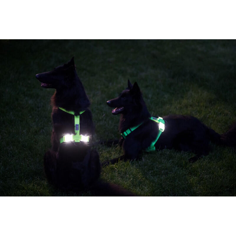 Pet Neon Light Y-Harness - Yellow