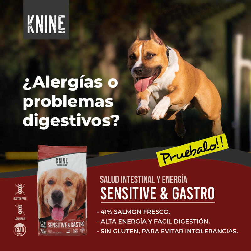 Comida para perros KNINE Sensitive&Gastro, salmón, gluten free 14 kg.
