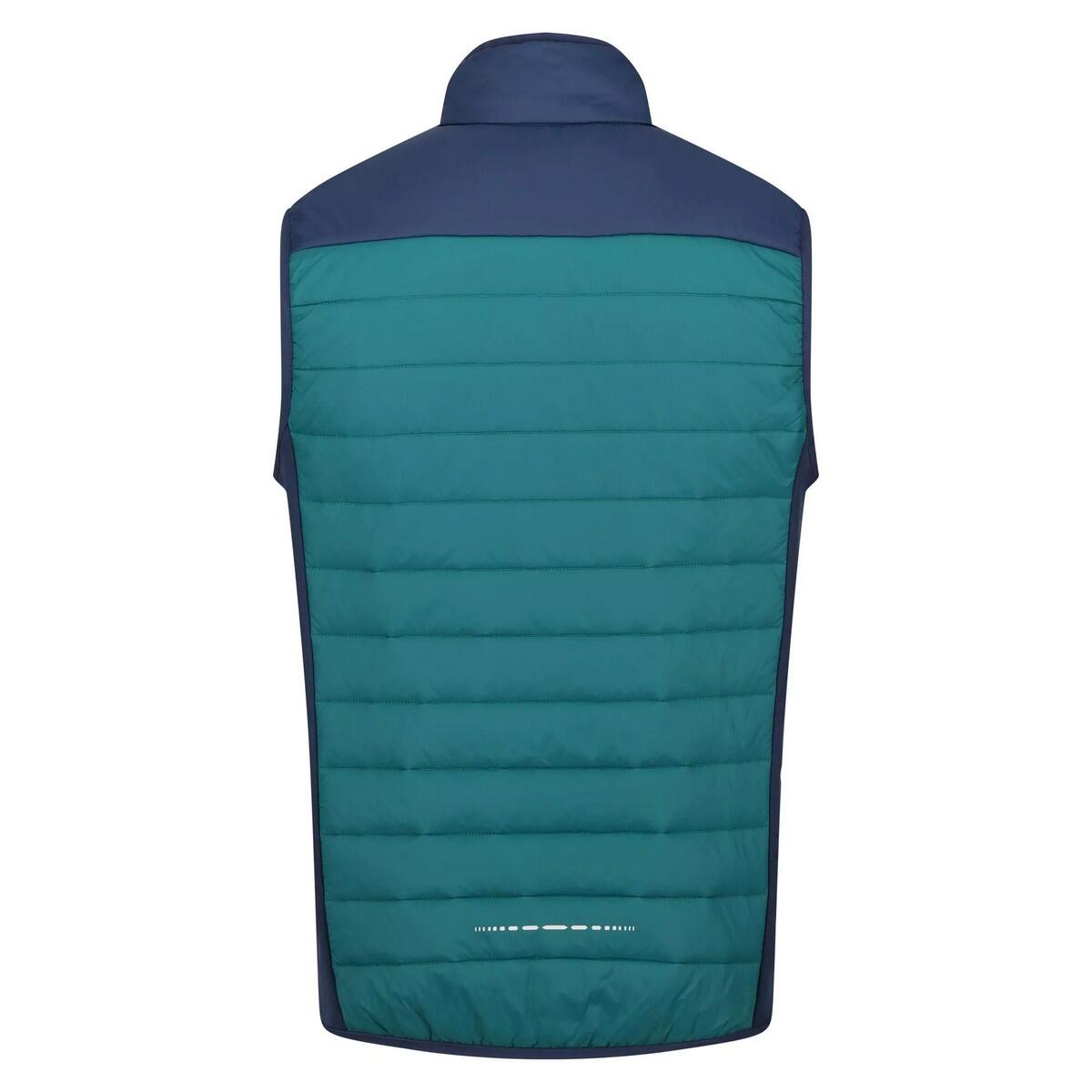 Mens Halton VI Lightweight Body Warmer (Pacific Green/Admiral Blue) 2/5